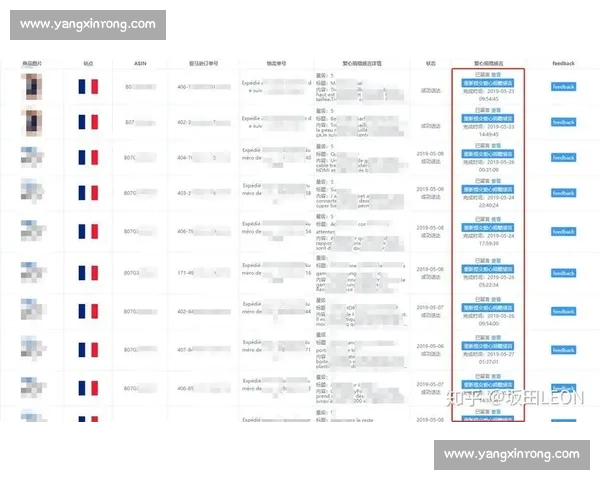 体育赛事观赛视角全解析技巧与心得分享指南